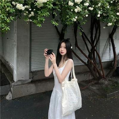 妙探双龙